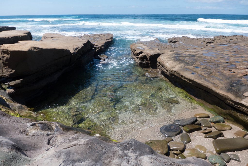 Complete Guide to the La Jolla Tide Pools