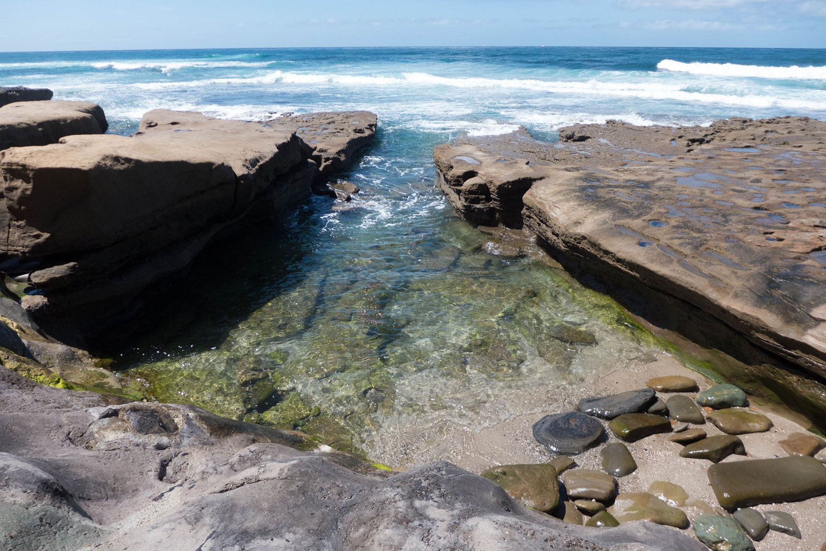 Complete Guide to the La Jolla Tide Pools