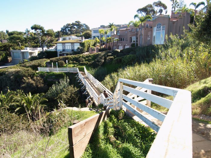 6 Things You Didn't Know About La Jolla's Coast Walk Trail La Jolla