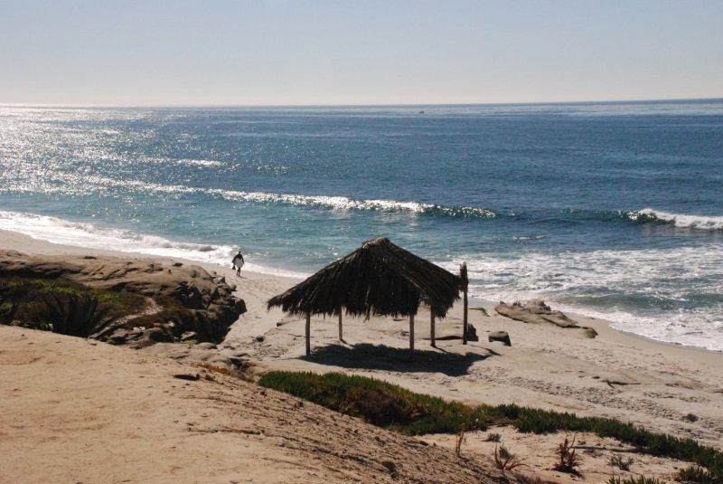 All About The Windansea Beach Surf Shack Lajolla