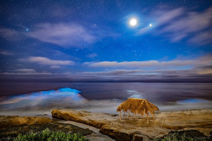 A bioluminescent beach in San Diego, La Jolla
