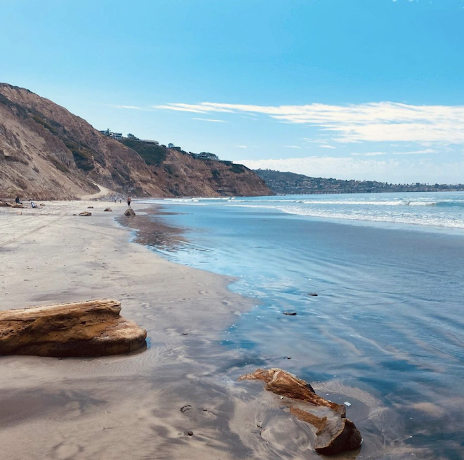 Blacks Beach near La Jolla Farms