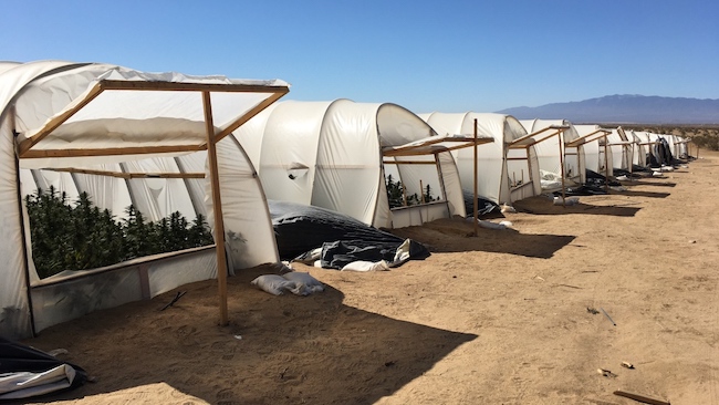 Antelope Valley Drug Bust